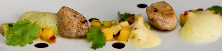 Jakobsmuschel mit Mango-Avocado-Salat und Orangen-Kokos-Schaum