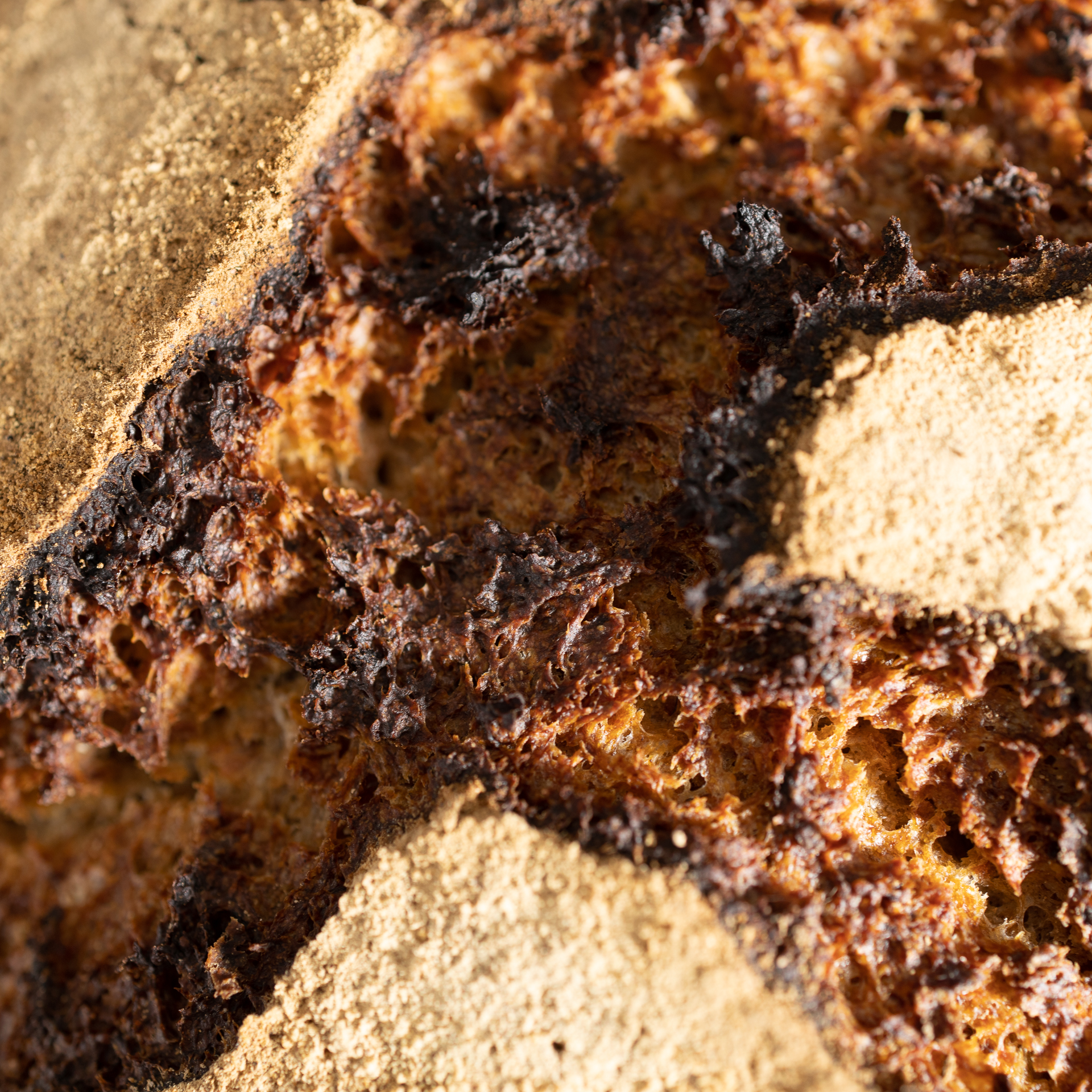 Dreikornbrot